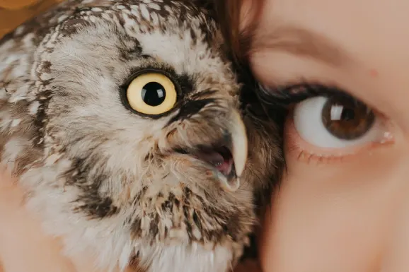 Kasino B Bets Sokongan